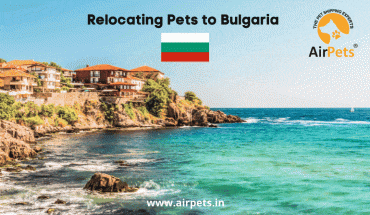 Relocating Pets to Bulgaria
