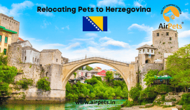 Relocating Pets to Herzegovina