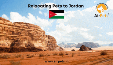 Relocating Pets to Jordan