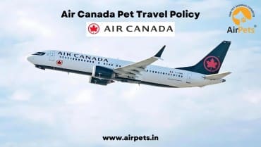 Air Canada Pet Travel Policy