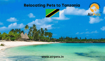 Relocating Pets to Tanzania