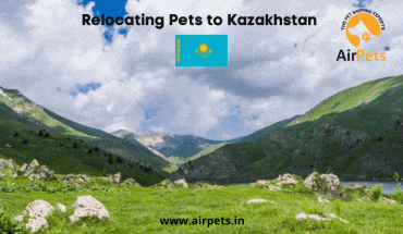 Relocating Pets to Kazakhstan