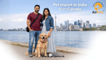 Pet Import to India from Canada