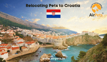 Relocating Pets to Croatia