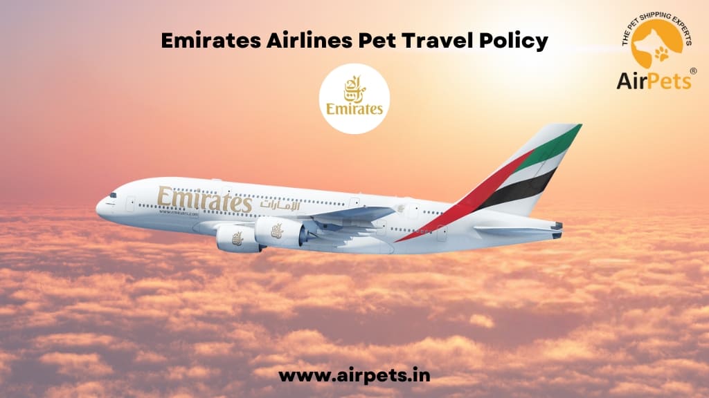 Emirates Airlines Pet Travel Policy