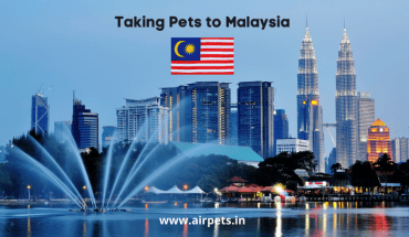 Taking Pets to Malaysia