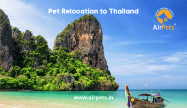 Pet Relocation to Thailand