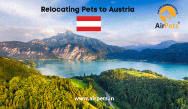 Relocating Pets to Austria 