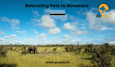 Relocating Pets to Botswana
