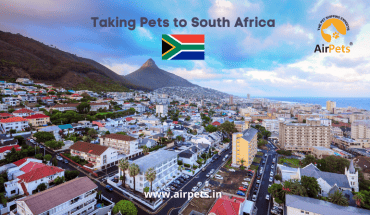 Taking Pets to South Africa