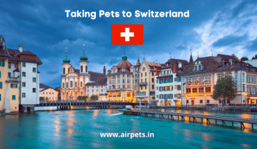 Taking Pets to Switzerland
