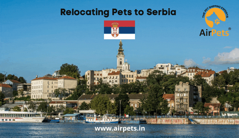 Relocating Pets to Serbia