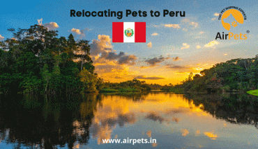 Relocating Pets to Peru