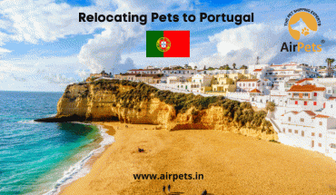 Relocating Pets to Portugal