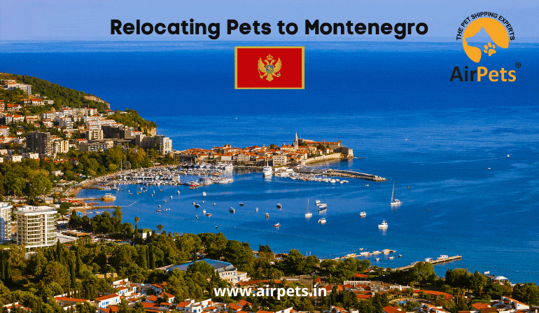 Relocating Pets to Montenegro