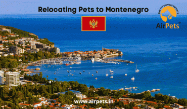 Relocating Pets to Montenegro