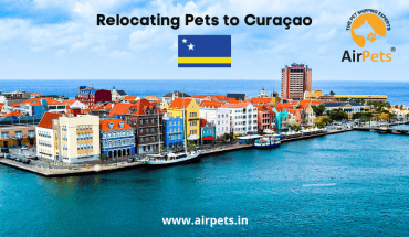 Relocating Pets to Curacao