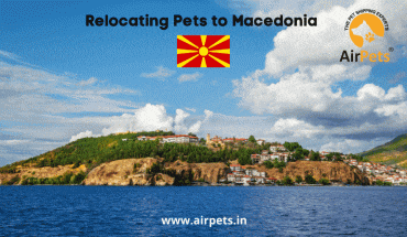 Relocating Pets to Macedonia