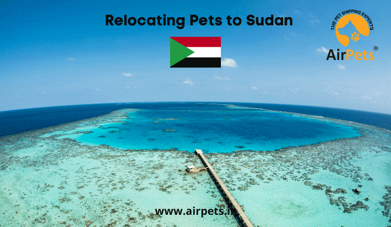 Relocating Pets to Sudan