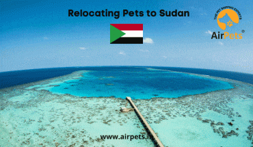 Relocating Pets to Sudan