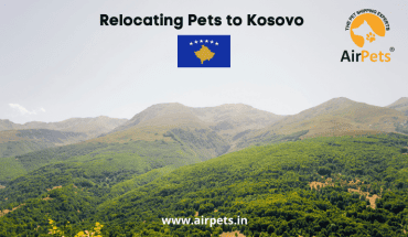 Relocating Pets to Kosovo