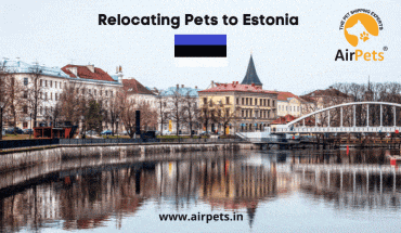 Relocating Pets to Estonia
