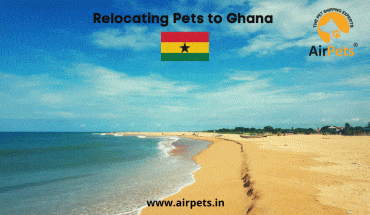 Relocating Pets to Ghana