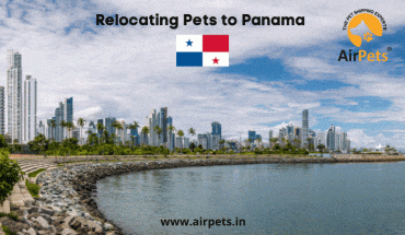 Relocating Pets to Panama