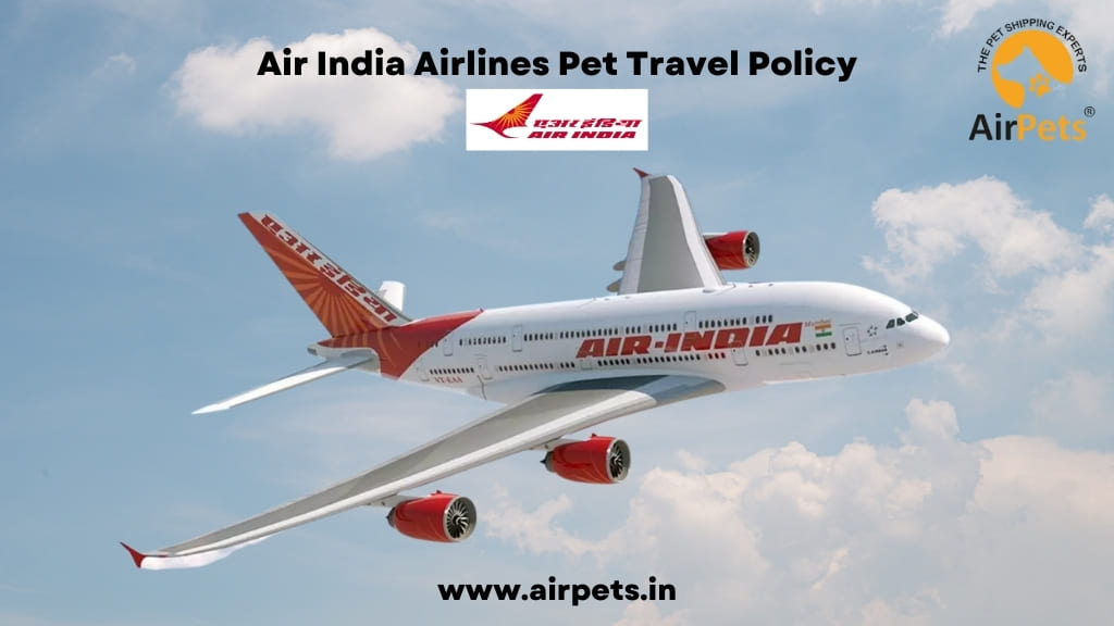 Air India Airlines Pet Travel Policy
