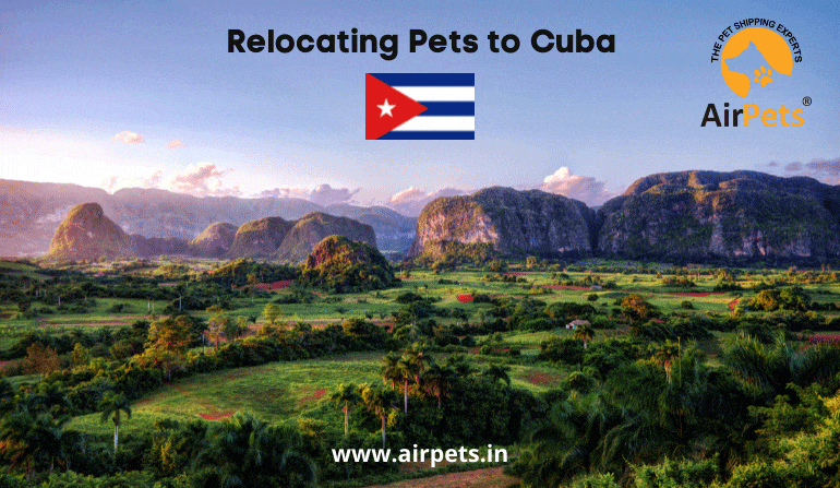 Relocating Pets to Cuba