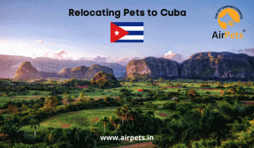 Relocating Pets to Cuba