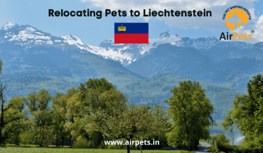 Relocating Pets to Liechtenstein