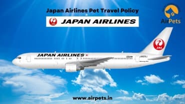 Japan Airlines Pet Travel Policy