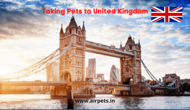 Taking Pets to United Kingdom
