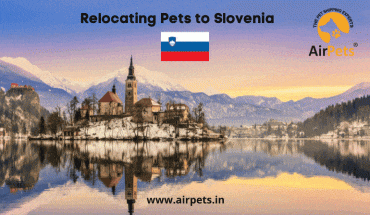 Relocating Pets to Slovenia