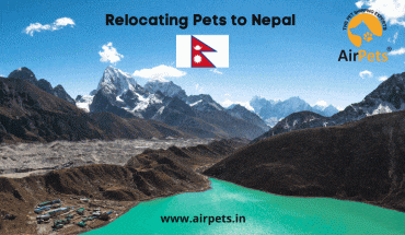 Relocating Pets to Nepal