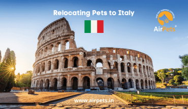 Relocating Pets to Italy