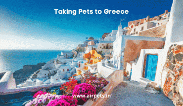 Taking Pets to Greece