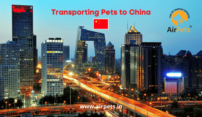 Transporting Pets to China