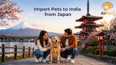 Import Pets to India from Japan