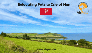 Relocating Pets to Isle of Man