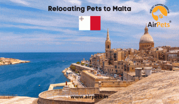 Relocating Pets to Malta