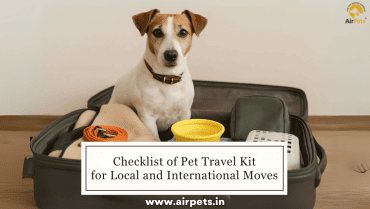 Checklist of Pet Travel Kit for Local and International Moves