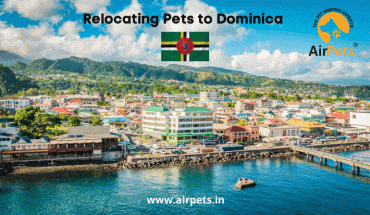 Relocating Pets to Dominica 