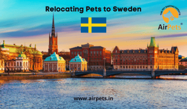 Relocating Pets to Sweden