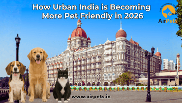 How Urban India is Becoming More Pet Friendly in 2026