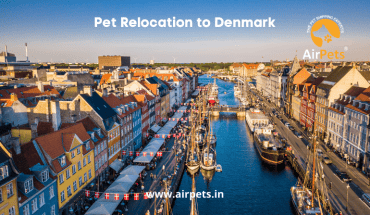 Pet Relocation to Denmark