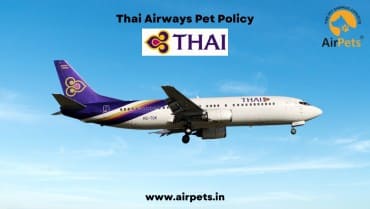 Thai Airways Pet Policy