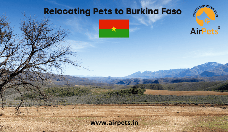 Relocating with Pets to Burkina Faso
