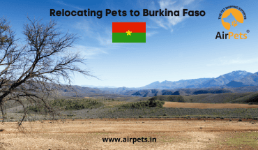 Relocating with Pets to Burkina Faso